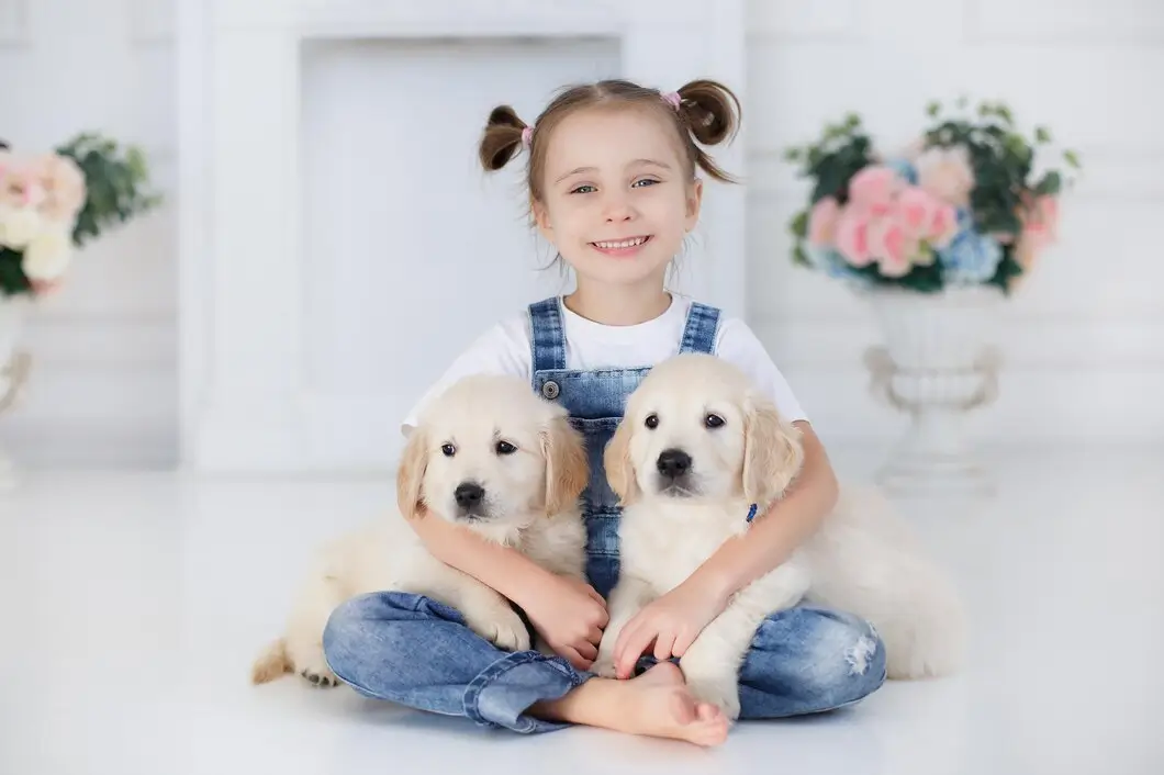 Why Baby Golden Retrievers for Sale Are the Perfect Family Pet