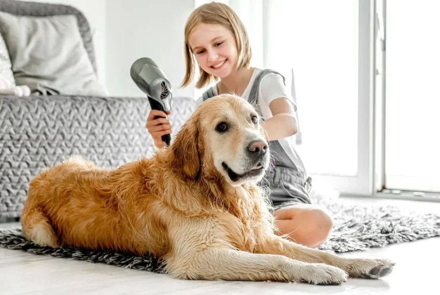 Golden Retrievers Family member