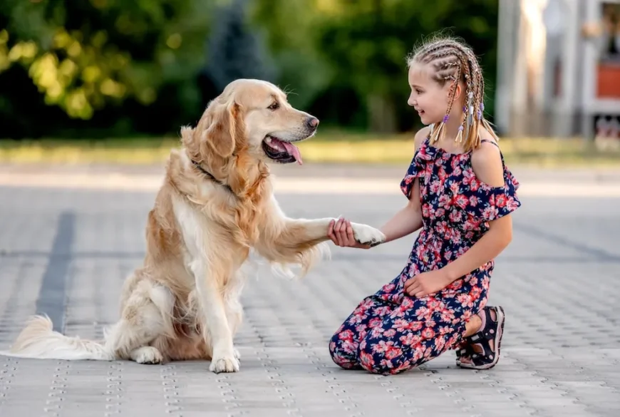 Family Golden Retriever