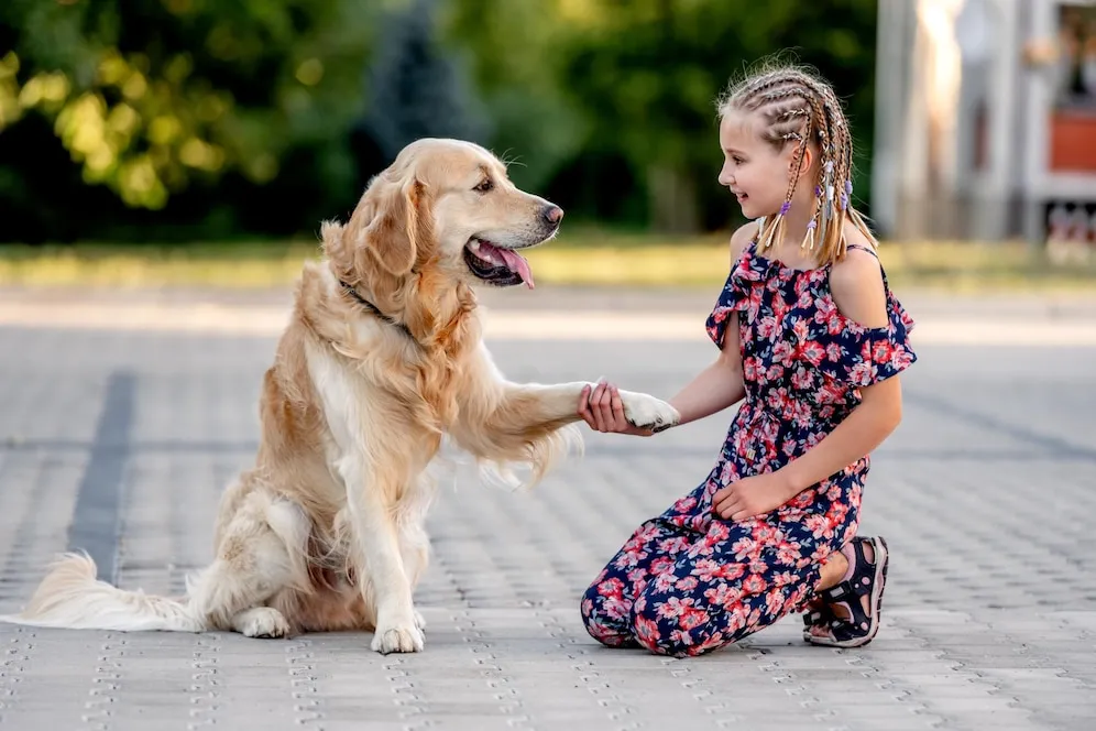 Family Golden Retriever